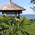 Kundalini Beach Bali's profielfoto